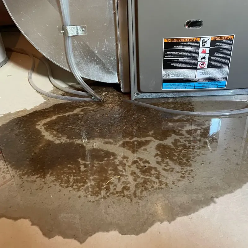 Pipe Burst and Leak Restoration in Fairview, NY